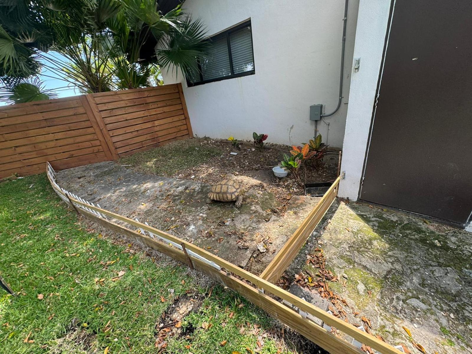 Villa Magical Wonderkoi House In A Japanese Koi Garden Miami Exterior foto